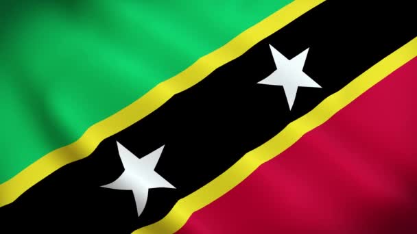 Saint Kitts Nevis Flag Nazionale Saint Kitts Nevis Bandiera Sventolando — Video Stock