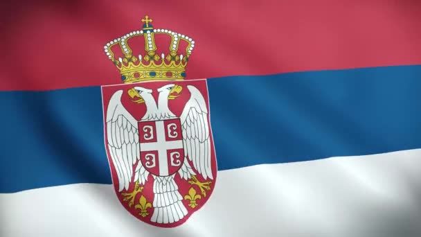 アニメーションを振るセルビアの旗 完璧なループ 4Kビデオ背景 公式色 — ストック動画
