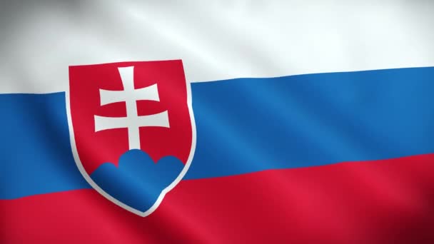 Eslováquia Bandeira Acenando Tecido Cetim Textura Bandeira Eslováquia Ilustração Bandeira — Vídeo de Stock