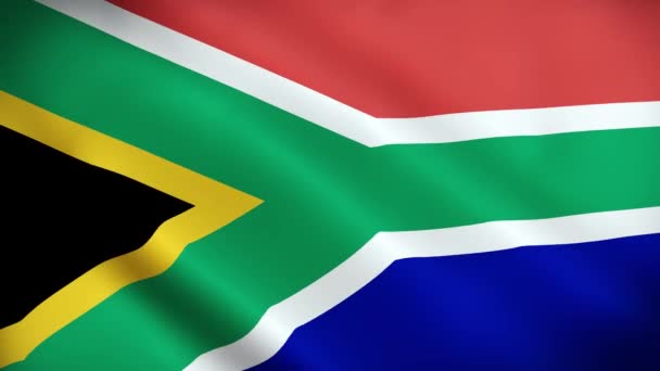 South Africa Flag Waving Wind High Quality Texture National Flag — Stock Video