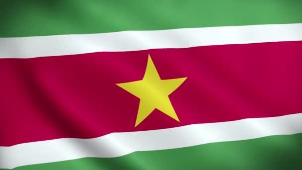 Прапор Суринаму Махає Анімацією Ідеальний Цикл Відео Фон Офіційні Кольори — стокове відео