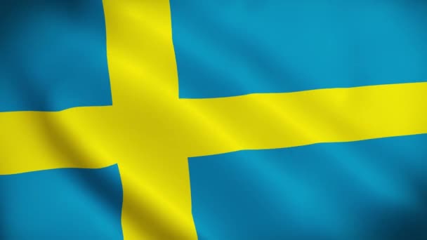 Švédsko Vlajka Vlna Stock Pozadí — Stock video