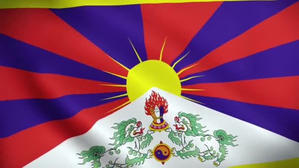 Vídeo Acenando Bandeira Bandeira Tibete Não Bandeira Oficial Usada Pela — Vídeo de Stock