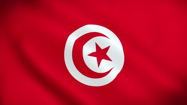 Tuniská Vlajka Národní Tunisko Vlajka Mává Vlajka Tuniského Videa Vlnící — Stock video