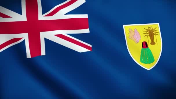 Bandera Islas Turcas Caicos Bandera Nacional Las Islas Turcas Caicos — Vídeo de stock