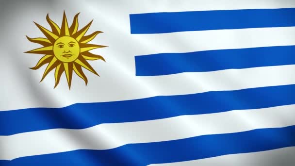 Bandera Uruguay Tela Ondulada Satén Textura Bandera Uruguay Ilustración Bandera — Vídeo de stock