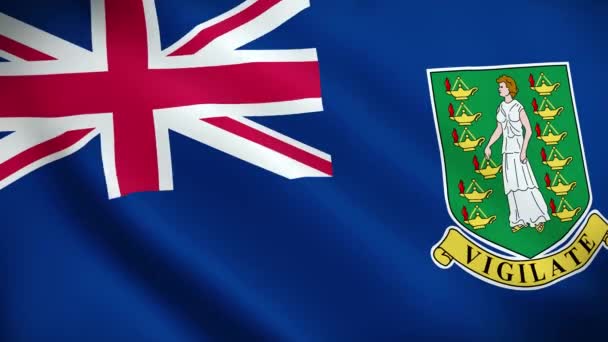 Прапор Віргінських Островів Махає Анімацією Ідеальний Цикл Відео Фон Офіційні — стокове відео