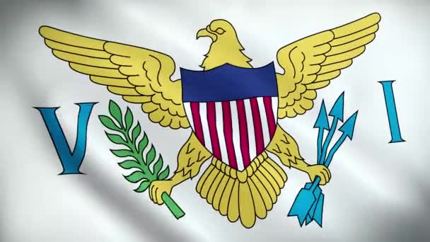 Die Flagge Der Jungferninseln Weht Animation Die Flagge Der Amerikanischen — Stockvideo