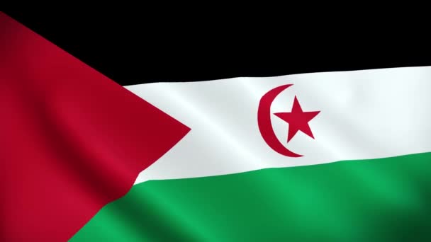 Bandera Del Sahara Occidental Ondeando Animación Sahara Occidental Ondeando Bandera — Vídeo de stock