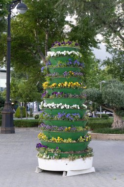 Parkta çiçek tarhı