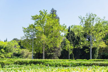 Bakü 'nün şehir manzarası. Tatil ve seyahat konsepti.