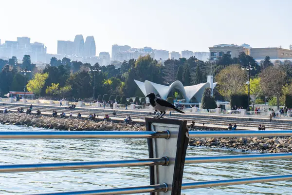 Fotoğraf Bakü, Azerbaycan 'da çekildi. Tatil ve seyahat kavramı.