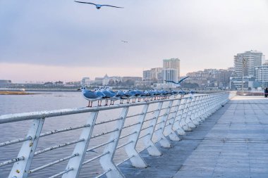 Azerbaycan 'ın Bakü şehrinde şehir fotoğrafı çekildi. Tatil ve seyahat kavramı.