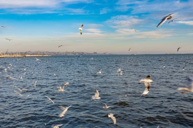 Bakü 'de hava soğuk.