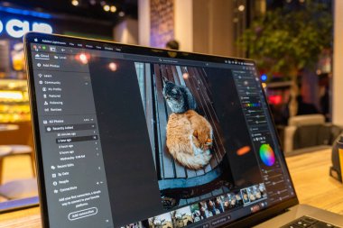 Bilgisayarlı profesyonel bir fotoğrafçının fotoğrafı.