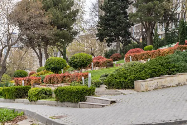 Fotoğraf Azerbaycan 'ın Bakü şehrinde çekildi..