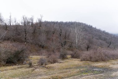 Manzara ve doğa havası