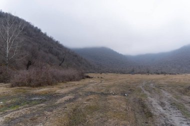 Manzara ve doğa havası