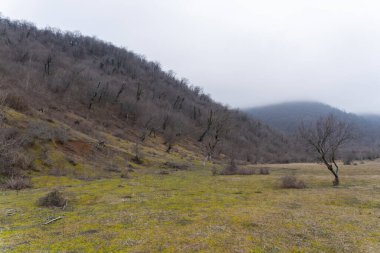 Manzara ve doğa havası