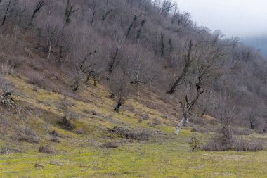 Manzara ve doğa havası