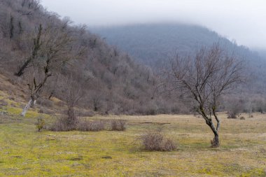 Manzara ve doğa havası
