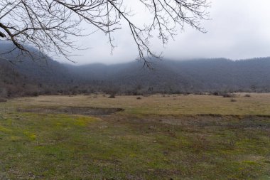 Manzara ve doğa havası