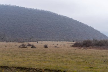 Manzara ve doğa havası