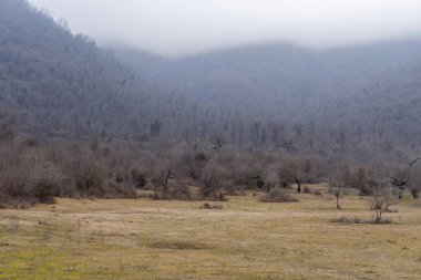 Manzara ve doğa havası