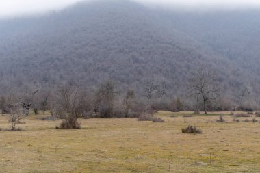 Manzara ve doğa havası