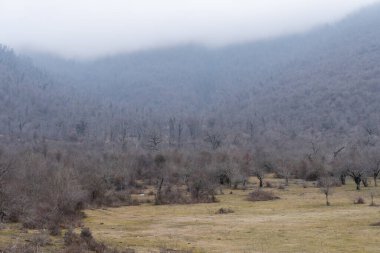 Manzara ve doğa havası