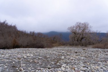 Manzara ve doğa havası