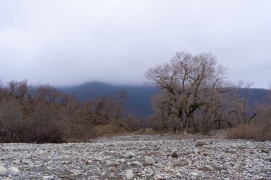 Manzara ve doğa havası