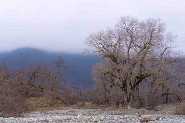 Manzara ve doğa havası