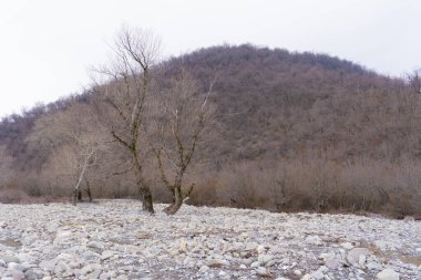 Manzara ve doğa havası