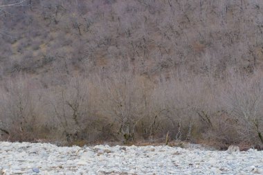 Manzara ve doğa havası