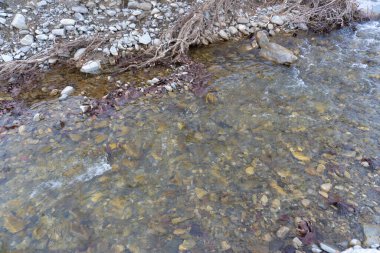 Manzara ve doğa havası