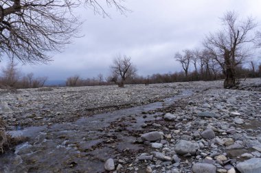 Manzara ve doğa havası