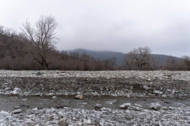 Manzara ve doğa havası