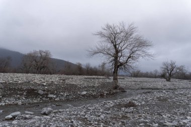 Manzara ve doğa havası