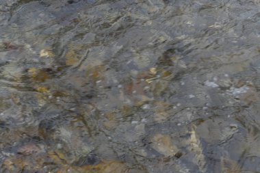 Manzara ve doğa havası