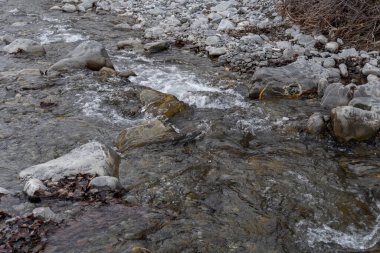 Manzara ve doğa havası