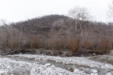 Manzara ve doğa havası