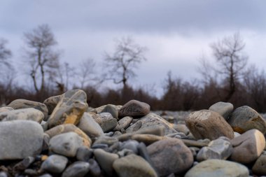 Kış mevsiminde doğa titreşimleri