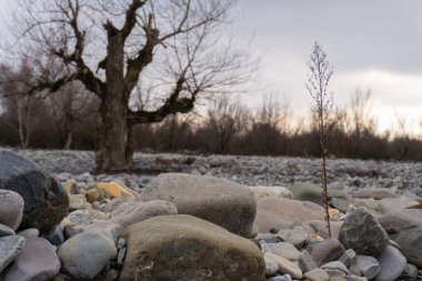Kış mevsiminde doğa titreşimleri