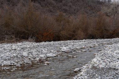 Kış mevsiminde doğa titreşimleri