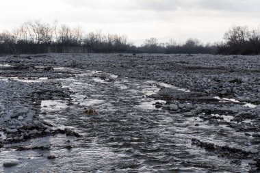 Kış mevsiminde doğa titreşimleri
