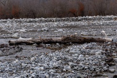 Kış mevsiminde doğa titreşimleri