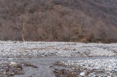 Kış mevsiminde doğa titreşimleri