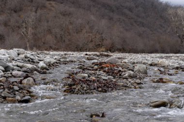 Kış mevsiminde doğa titreşimleri
