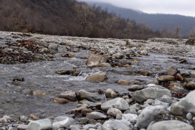 Kış mevsiminde doğa titreşimleri